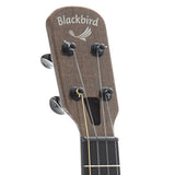 Blackbird BCU-PTV Clara Ekoa Concert Ukulele with Pickup and Gigbag