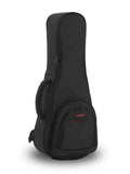 Access Stage Three Mandolin Gigbag