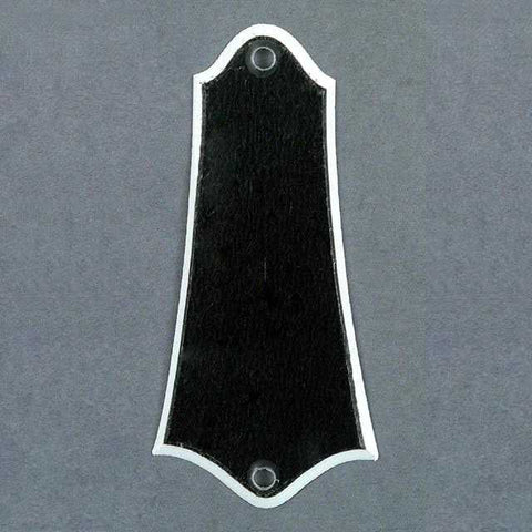 Banjo or Mandolin Truss Rod Cover